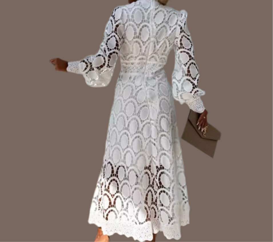 40% OFF Carla embroidered and brocade dress, 4 colors, sizes (36-46)