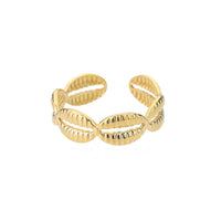 Anillo Shell