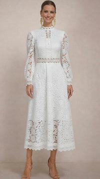 Bella dress in lace and embroidery with lining, 4 colors, sizes (36-48) (video)