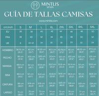 Tunica Gabriela satinada spandex con goma en las mangas , 4 colores,              8 TALLAS GRANDES