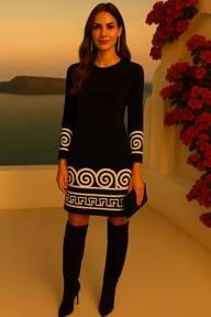 IMPRESSIONNANTE mini robe Saint-Valentin brodée en coton strech, 4 tailles 