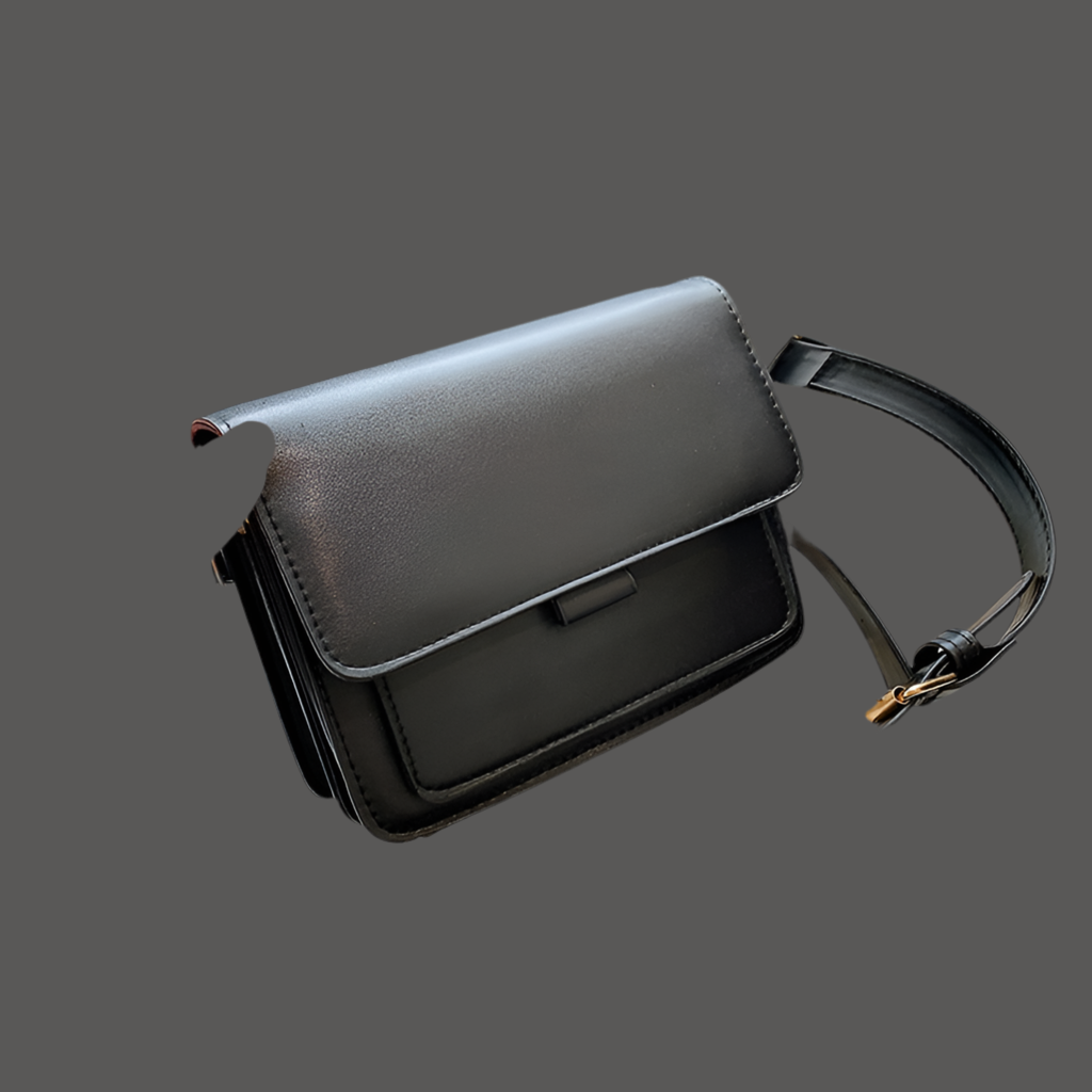 BF 🖤 Graciela bag, 2 colors